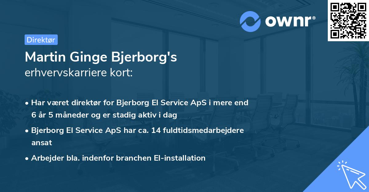 Martin Ginge Bjerborg's erhvervskarriere kort