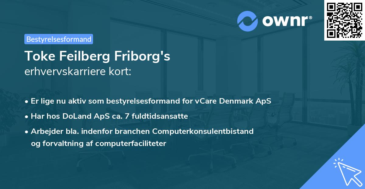Toke Feilberg Friborg's erhvervskarriere kort