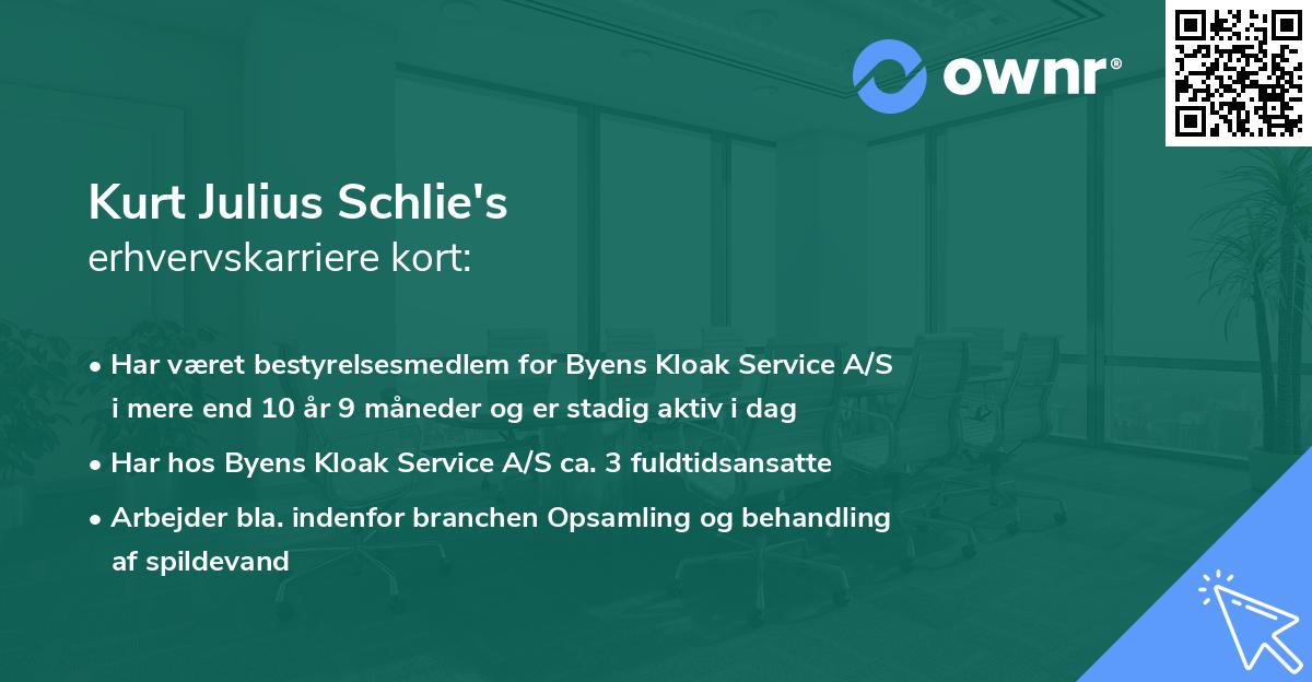Kurt Julius Schlie's erhvervskarriere kort