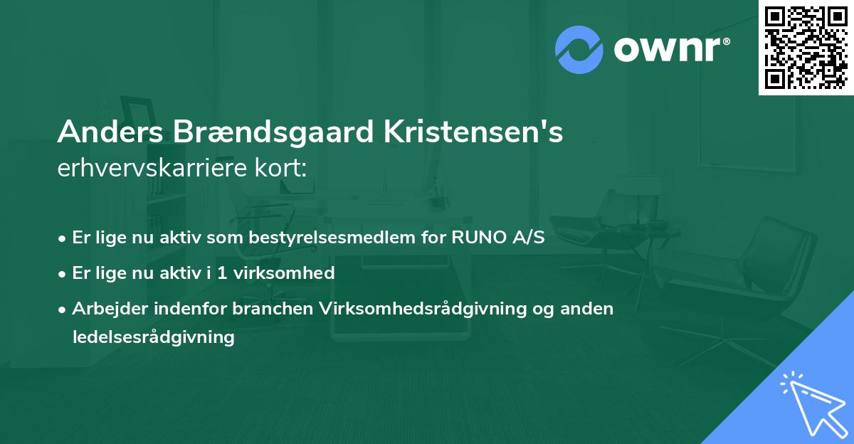 Anders Brændsgaard Kristensen's erhvervskarriere kort