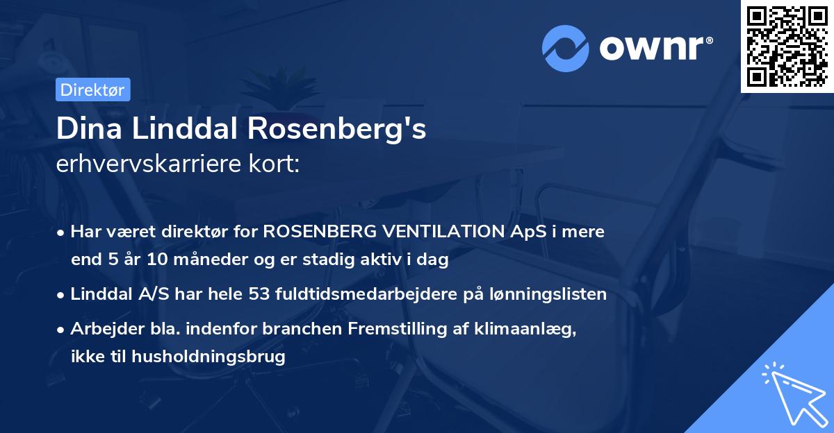 Dina Linddal Rosenberg's erhvervskarriere kort