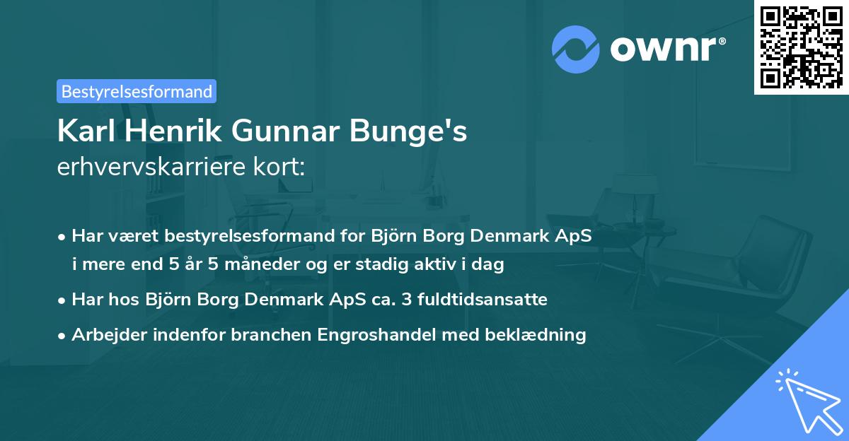 Karl Henrik Gunnar Bunge's erhvervskarriere kort
