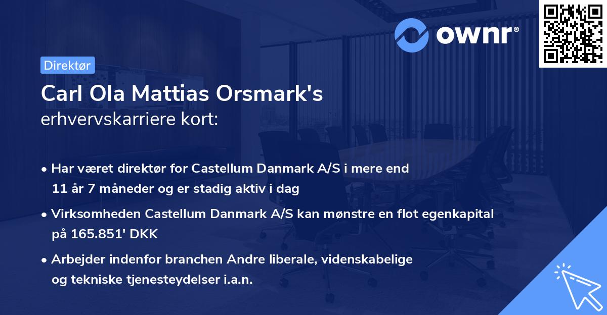 Carl Ola Mattias Orsmark's erhvervskarriere kort