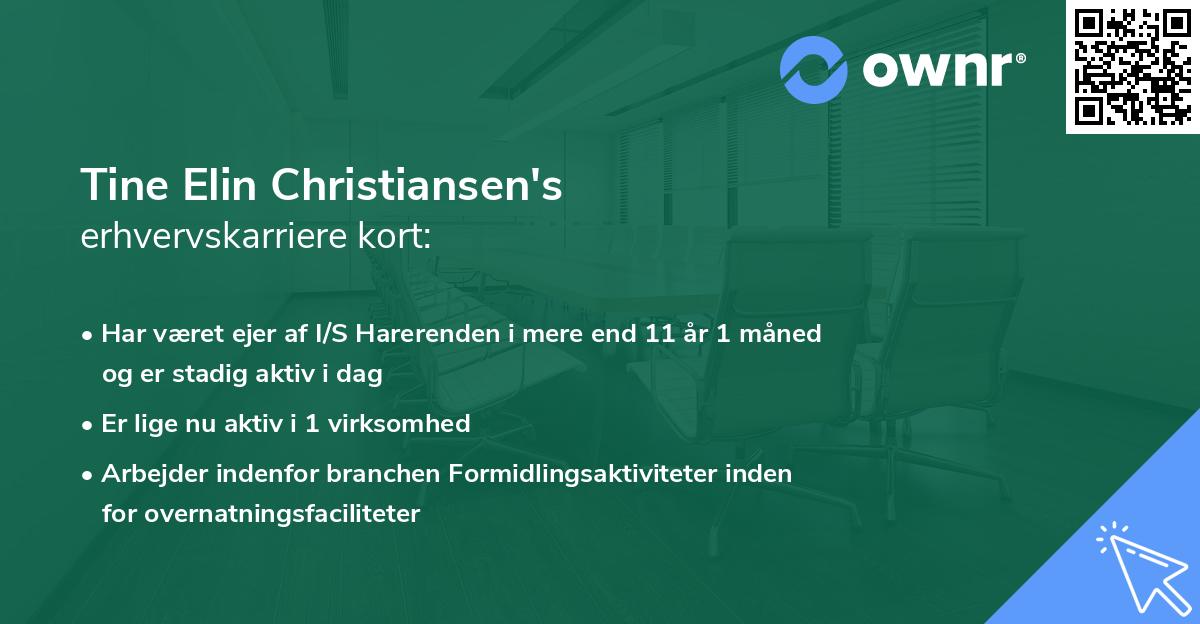 Tine Elin Christiansen's erhvervskarriere kort