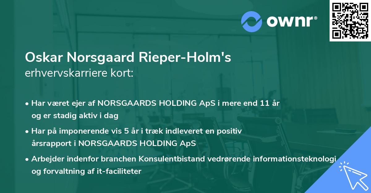 Oskar Norsgaard Rieper-Holm's erhvervskarriere kort