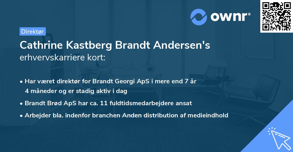 Cathrine Kastberg Brandt Andersen's erhvervskarriere kort