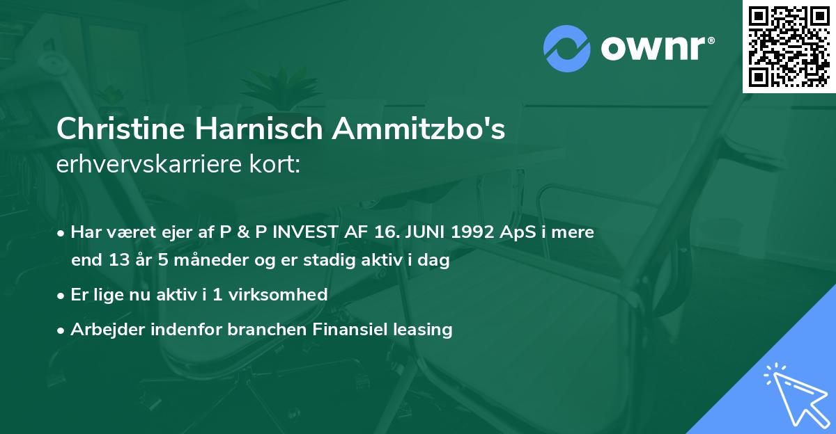 Christine Harnisch Ammitzbo's erhvervskarriere kort