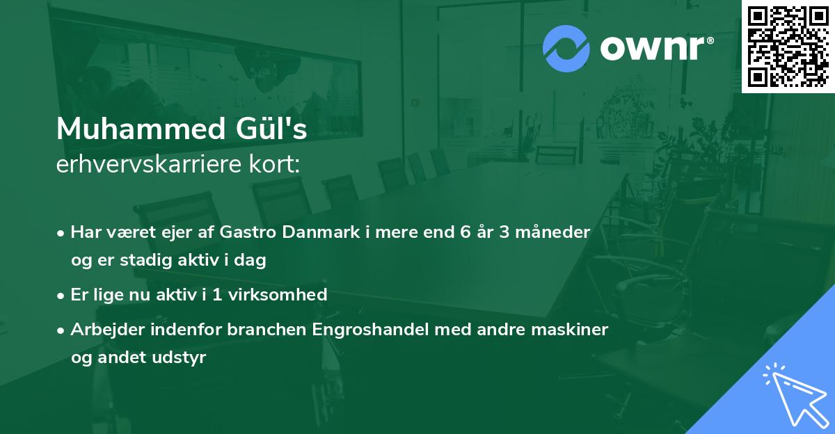 Muhammed Gül's erhvervskarriere kort