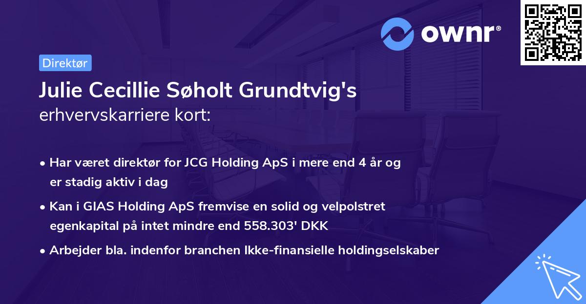 Julie Cecillie Søholt Grundtvig's erhvervskarriere kort