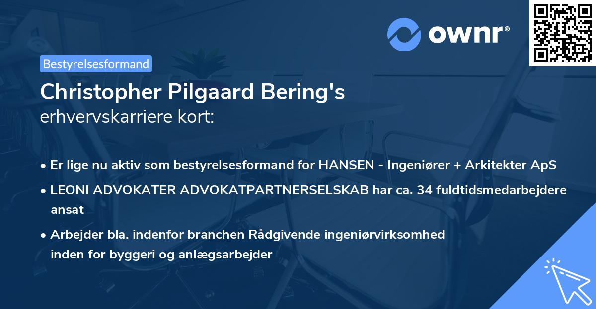 Christopher Pilgaard Bering's erhvervskarriere kort