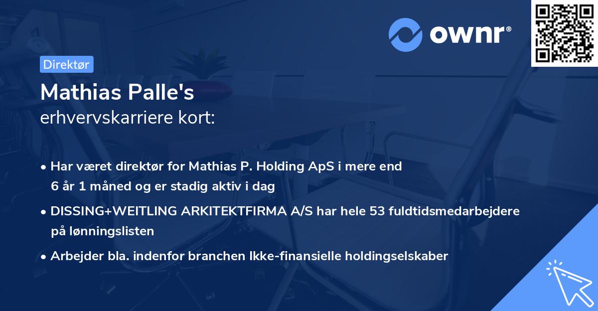 Mathias Palle's erhvervskarriere kort