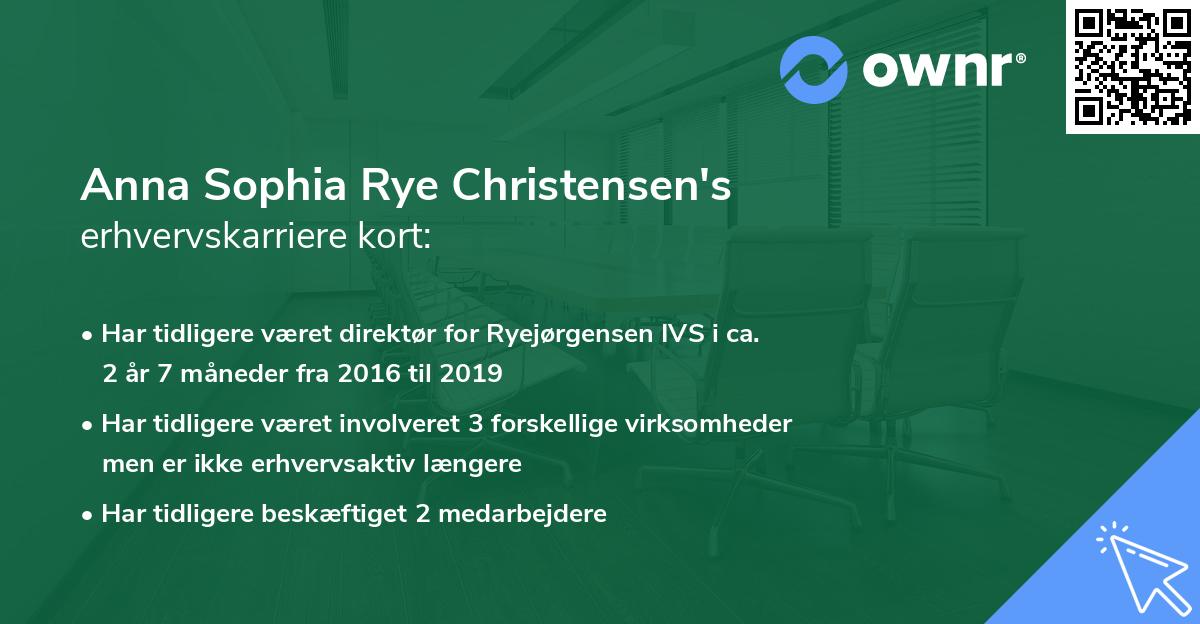 Anna Sophia Rye Christensen's erhvervskarriere kort