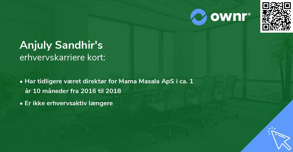 Anjuly Sandhir's erhvervskarriere kort