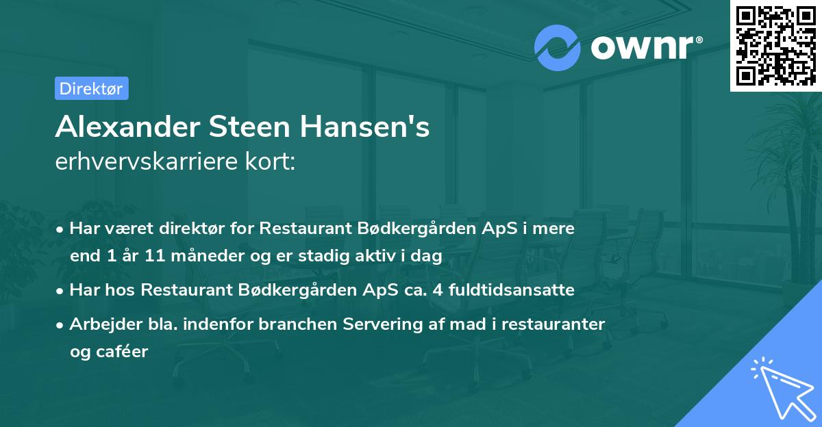 Alexander Steen Hansen's erhvervskarriere kort