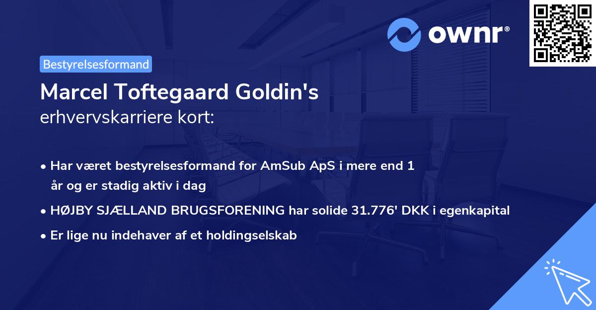 Marcel Toftegaard Goldin's erhvervskarriere kort