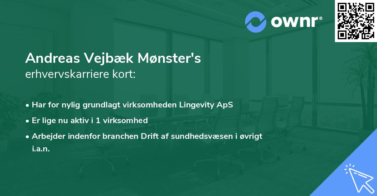 Andreas Vejbæk Mønster's erhvervskarriere kort