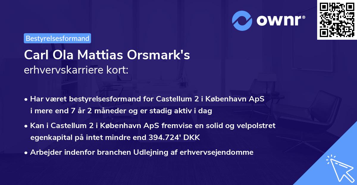 Carl Ola Mattias Orsmark's erhvervskarriere kort