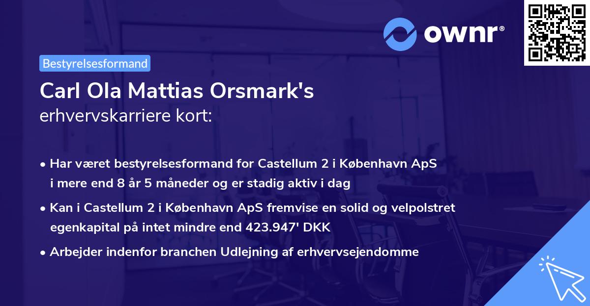 Carl Ola Mattias Orsmark's erhvervskarriere kort