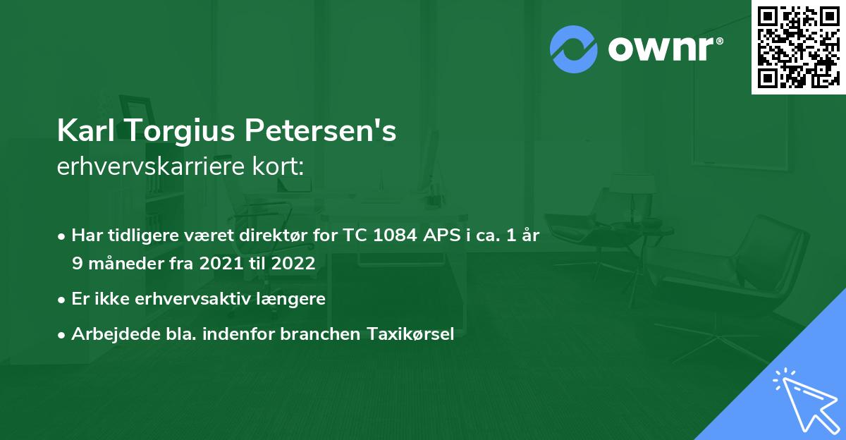 Karl Torgius Petersen's erhvervskarriere kort