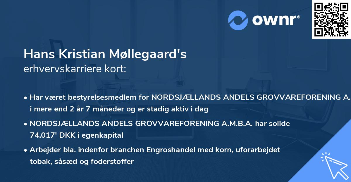 Hans Kristian Møllegaard's erhvervskarriere kort