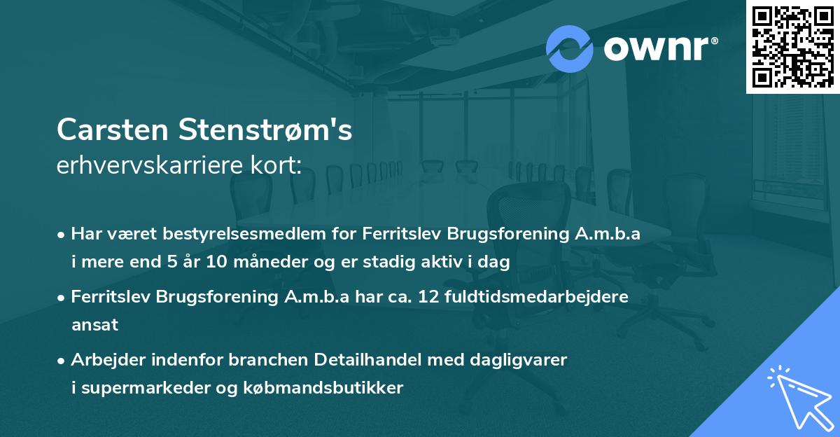 Carsten Stenstrøm's erhvervskarriere kort