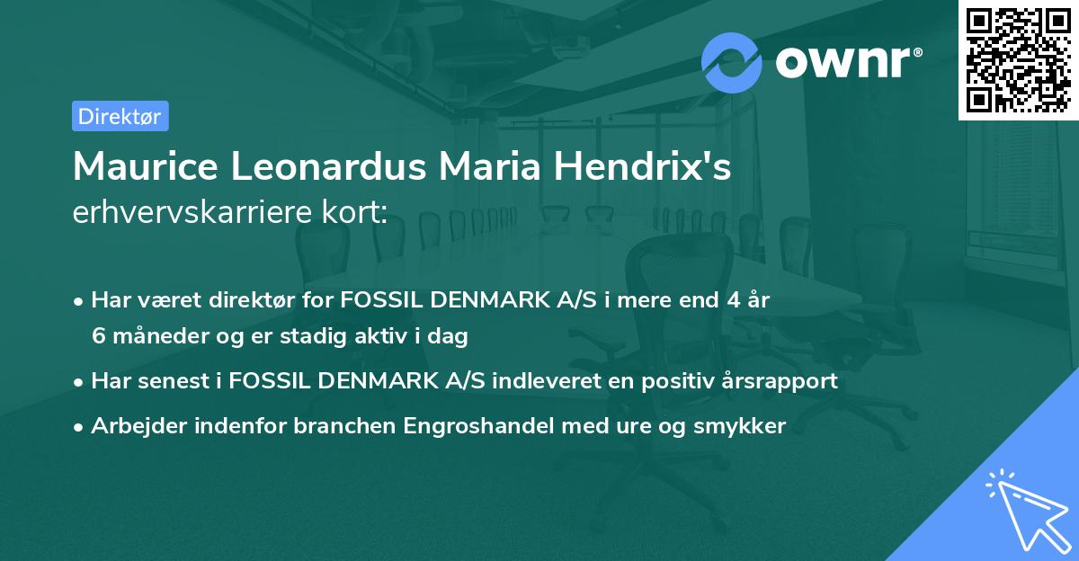 Maurice Leonardus Maria Hendrix's erhvervskarriere kort