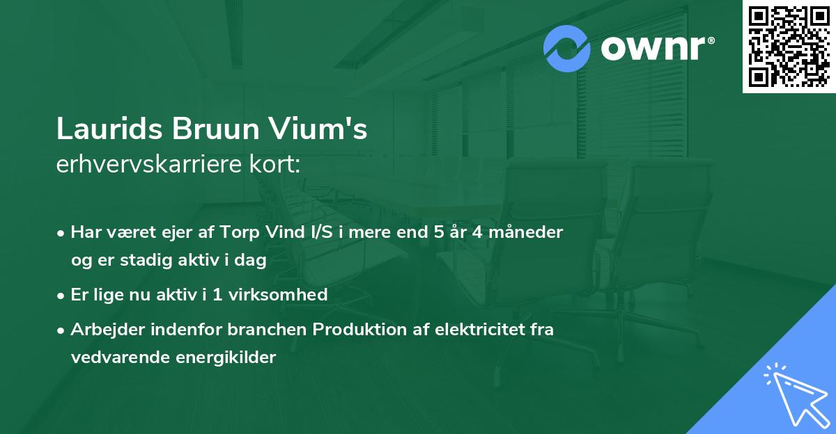 Laurids Bruun Vium's erhvervskarriere kort