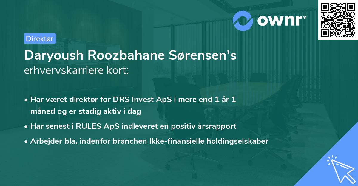 Daryoush Roozbahane Sørensen's erhvervskarriere kort