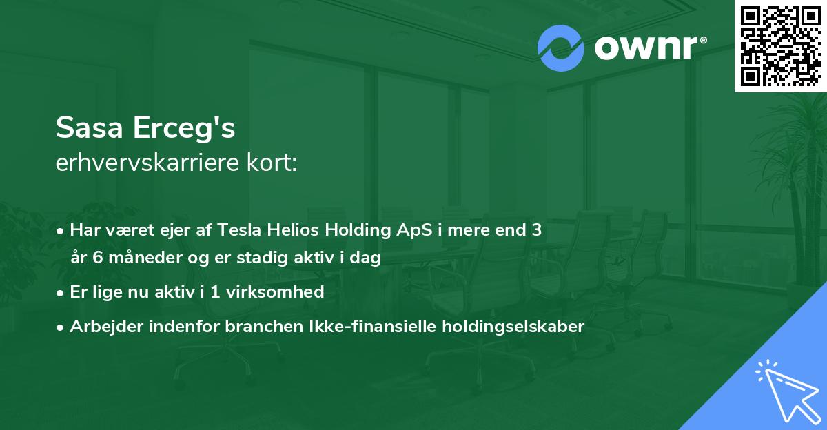 Sasa Erceg's erhvervskarriere kort