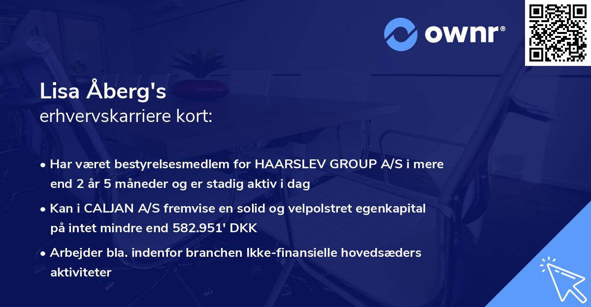 Lisa Åberg's erhvervskarriere kort