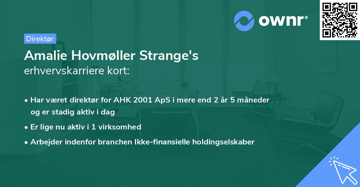 Amalie Hovmøller Strange's erhvervskarriere kort