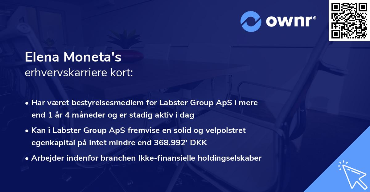 Elena Moneta's erhvervskarriere kort