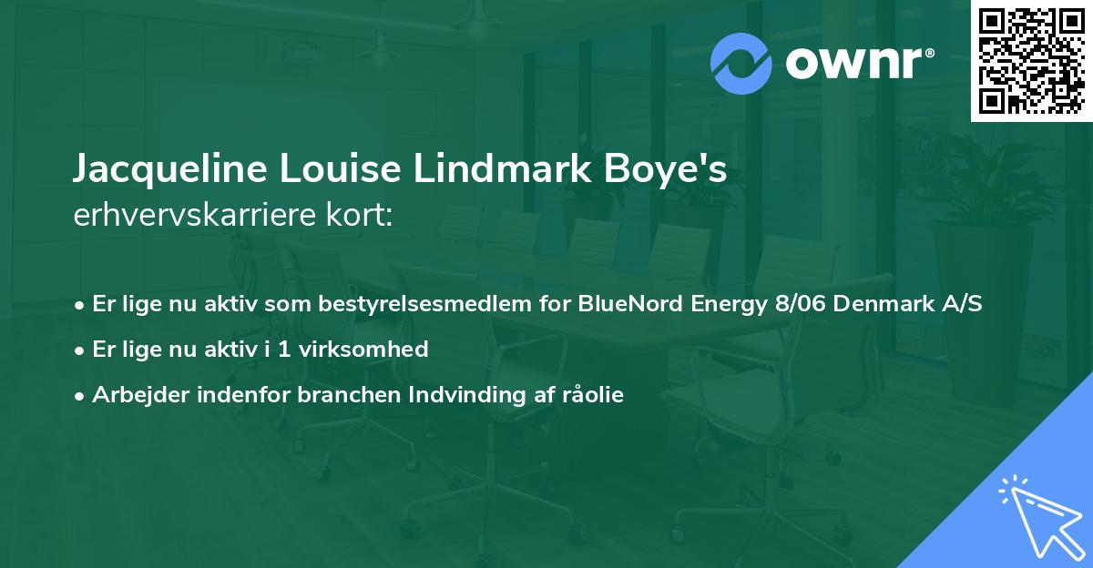 Jacqueline Louise Lindmark Boye's erhvervskarriere kort