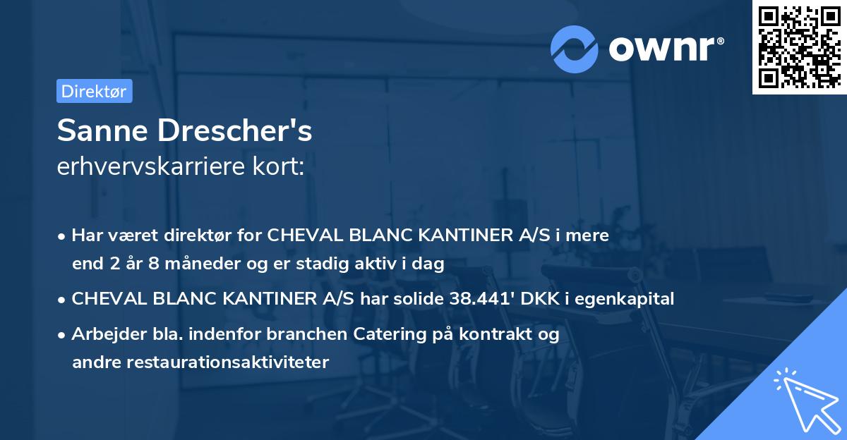 Sanne Drescher's erhvervskarriere kort