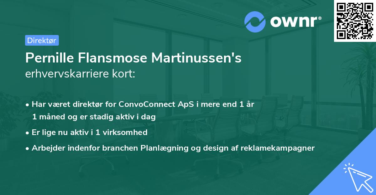 Pernille Flansmose Martinussen's erhvervskarriere kort