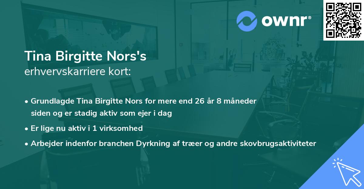 Tina Birgitte Nors's erhvervskarriere kort
