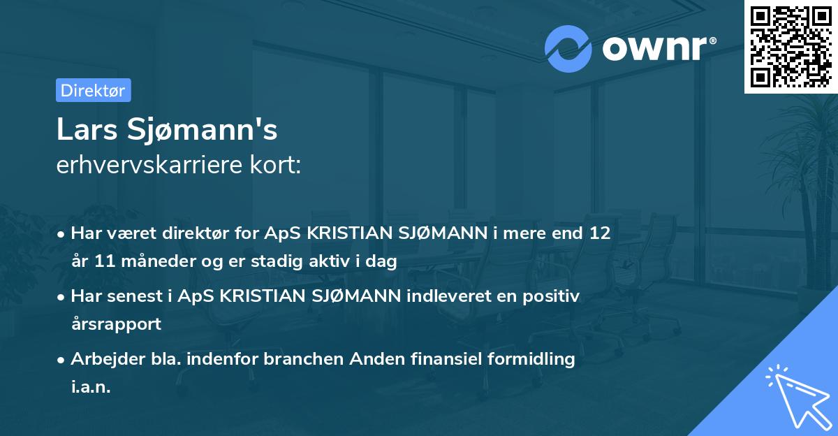 Lars Sjømann's erhvervskarriere kort