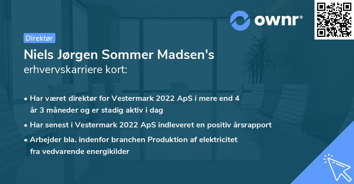 Niels Jørgen Sommer Madsen's erhvervskarriere kort