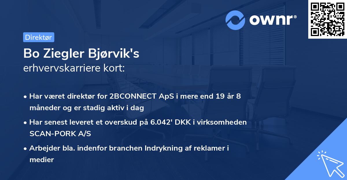 Bo Ziegler Bjørvik's erhvervskarriere kort