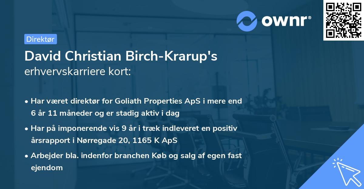 David Christian Birch-Krarup's erhvervskarriere kort