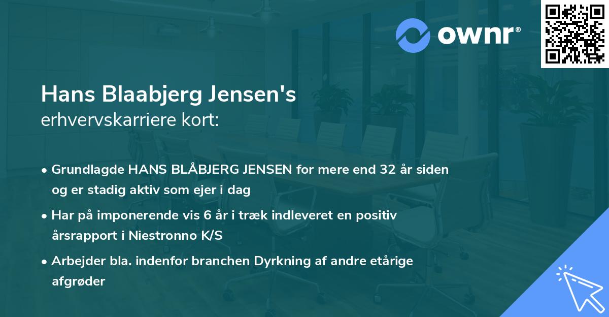 Hans Blaabjerg Jensen's erhvervskarriere kort