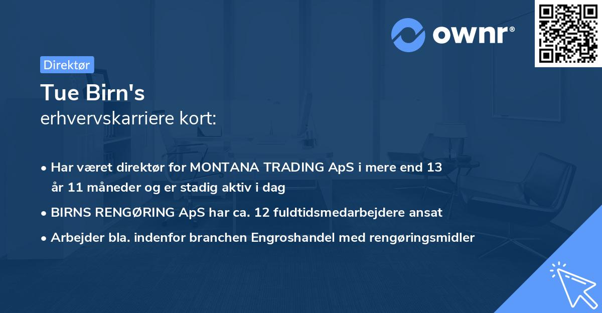 Tue Birn's erhvervskarriere kort