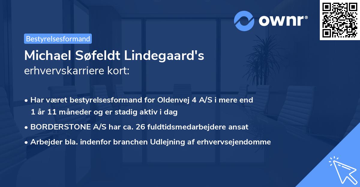 Michael Søfeldt Lindegaard's erhvervskarriere kort