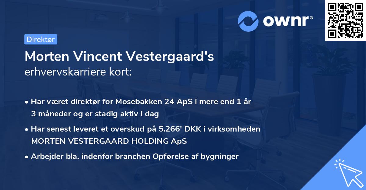 Morten Vincent Vestergaard's erhvervskarriere kort