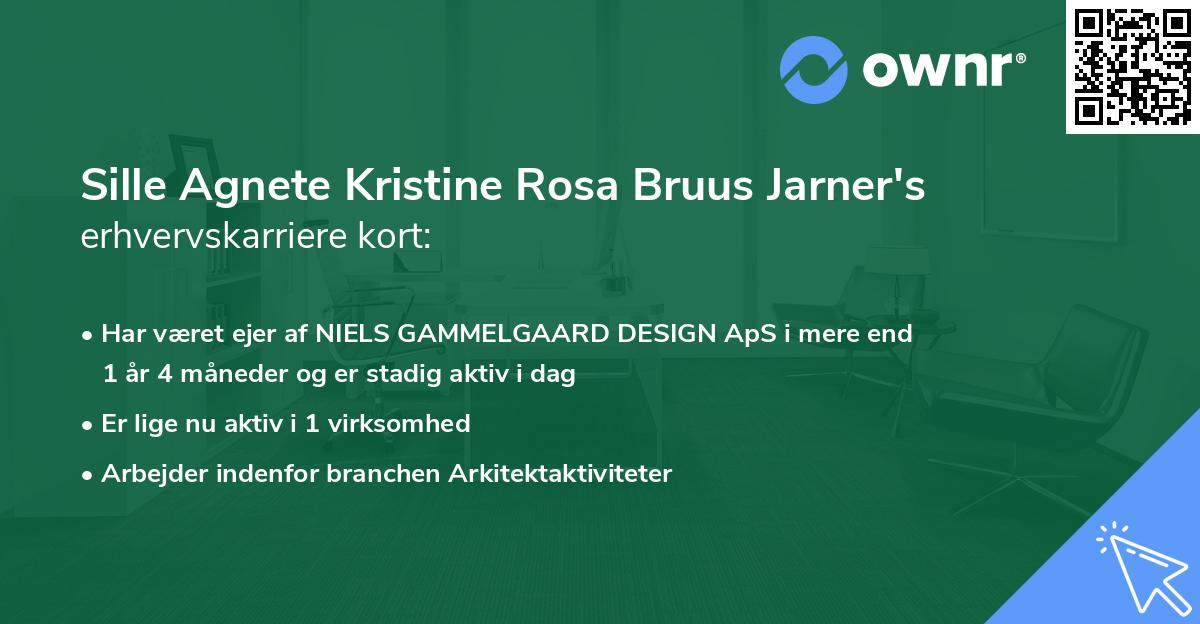 Sille Agnete Kristine Rosa Bruus Jarner's erhvervskarriere kort