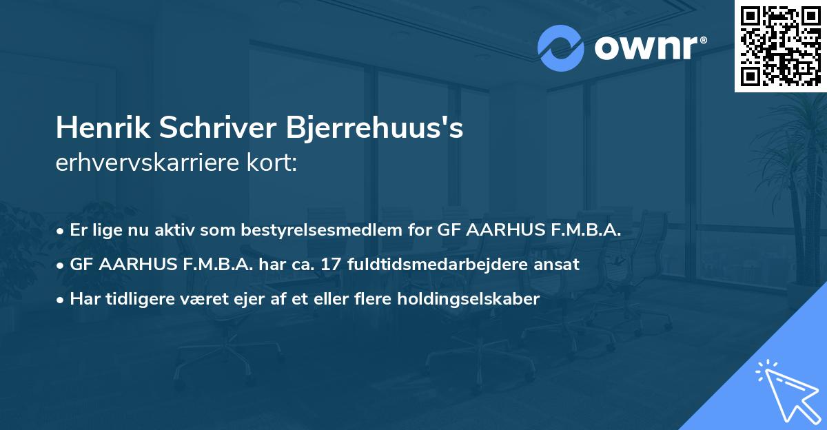 Henrik Schriver Bjerrehuus's erhvervskarriere kort