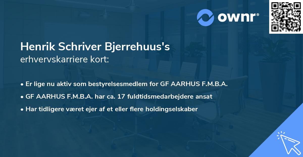 Henrik Schriver Bjerrehuus's erhvervskarriere kort