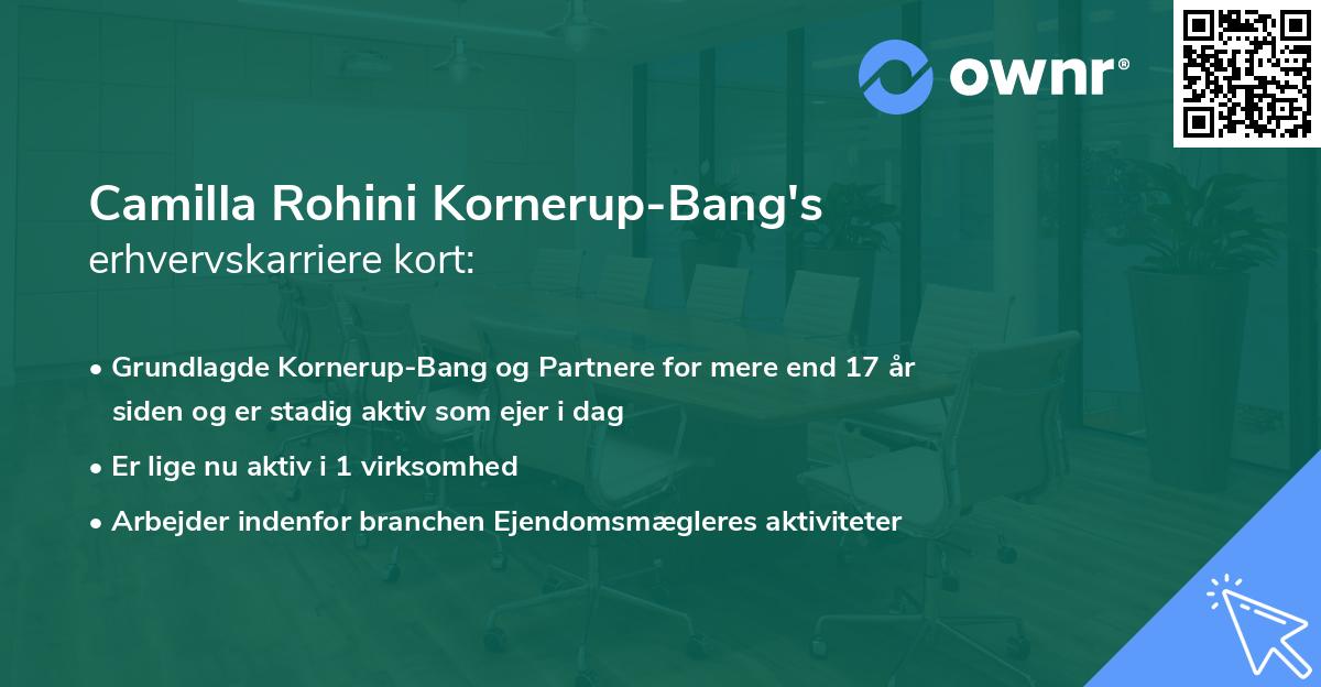 Camilla Rohini Kornerup-Bang's erhvervskarriere kort