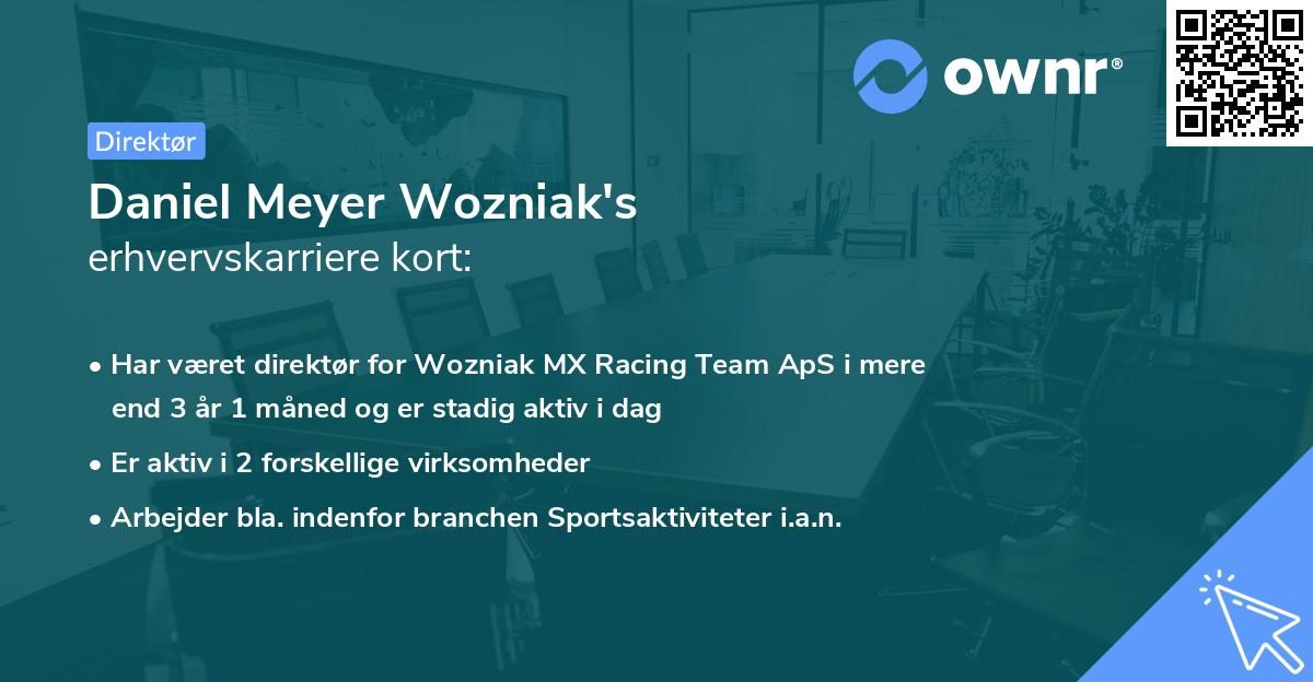 Daniel Meyer Wozniak's erhvervskarriere kort