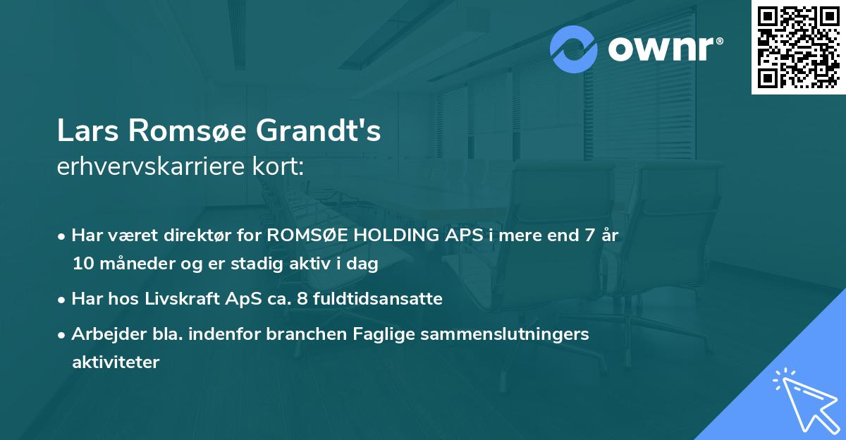 Lars Romsøe Grandt's erhvervskarriere kort